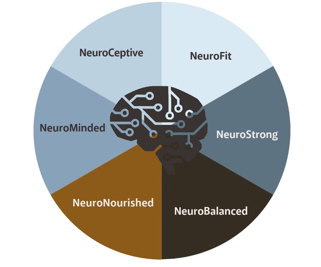 Cleared Brain (2) (8)_edited.png